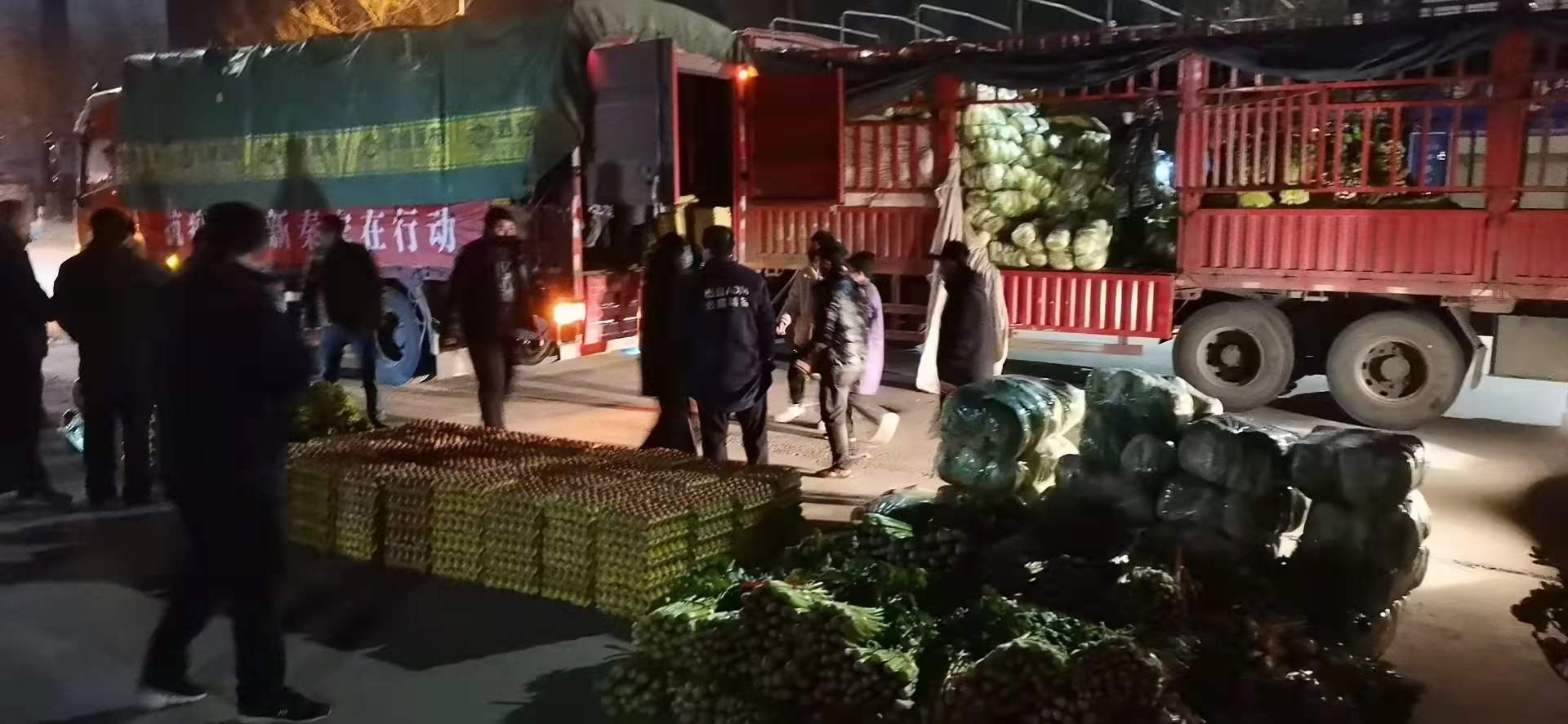 感謝黨和政府對(duì)我公司送來新鮮蔬菜，愿，國無恙，山河永固，加油，西安！